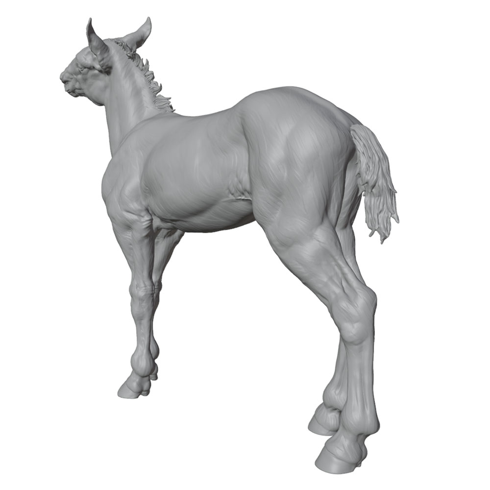 High-Detail Printing, Realisti - Model Kit Horse ulasan dan harga