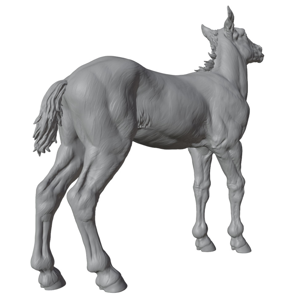 High-Detail Printing, Realisti - Model Kit Horse ulasan dan harga