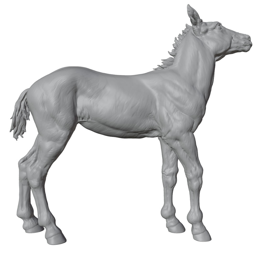 High-Detail Printing, Realisti - Model Kit Horse ulasan dan harga